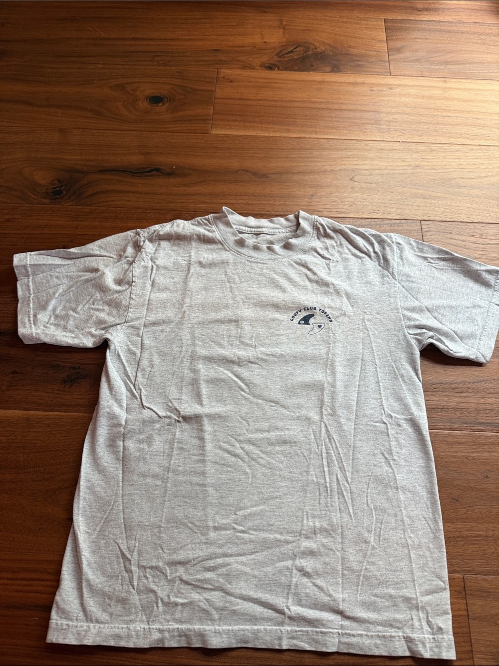 Light Gray Short Sleeve Crewneck Tee with Subtle Chest Graphic